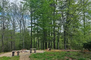 649 Upper Bailey Branch Rd, Mars Hill, NC 28754 - Photo 26