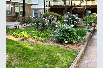 2626 Park Road #B, Charlotte, NC 28209 - Photo 22