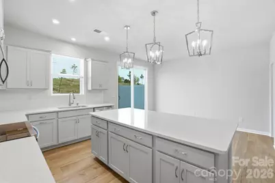 6019 Mallow Crossing Lane, Charlotte, NC 28213 - Photo 12