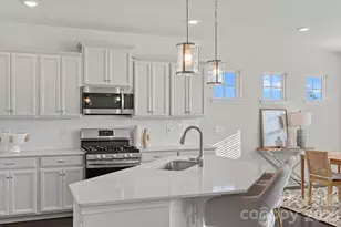 17519 Snug Harbor Rd, Charlotte, NC 28278 - Photo 4