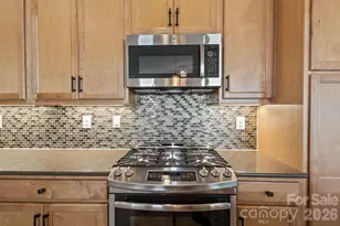 495 Granite Lake Ct, Denver, NC 28037 - Photo 14