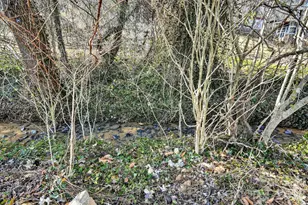 47 Stone Cottage Rd, Mars Hill, NC 28754 - Photo 32