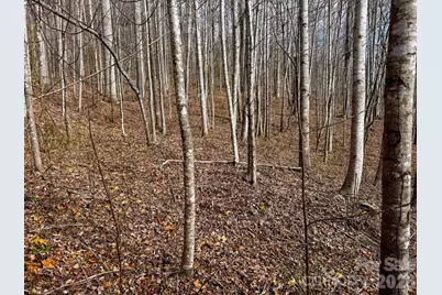 770 Somersby Parkway, Hendersonville, NC 28739 - Photo 12