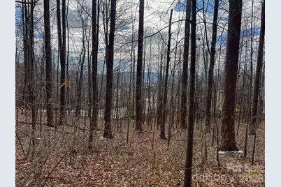 770 Somersby Parkway, Hendersonville, NC 28739 - Photo 4