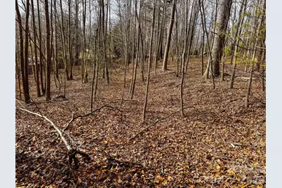 770 Somersby Parkway, Hendersonville, NC 28739 - Photo 8