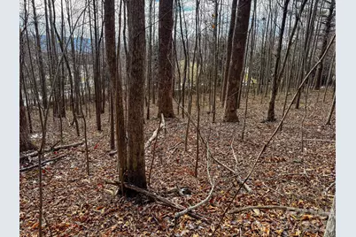 770 Somersby Parkway, Hendersonville, NC 28739 - Photo 18