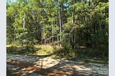 00-00 Deer Trail #LOT 39, Raeford Township, NC 28376 - Photo 12