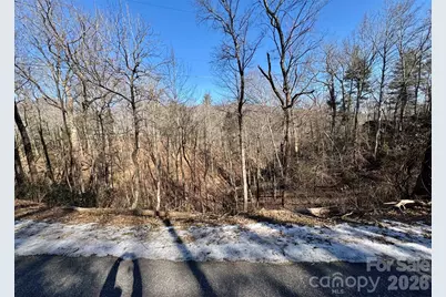 42 Asa Gray Drive, Lake Lure, NC 28720 - Photo 2