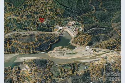 42 Asa Gray Drive, Lake Lure, NC 28720 - Photo 8