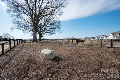 604 Hops Alley, Fort Mill, SC 29715 - Photo 48
