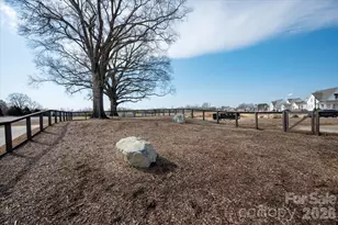 604 Hops Aly, Fort Mill, SC 29715 - Photo 48