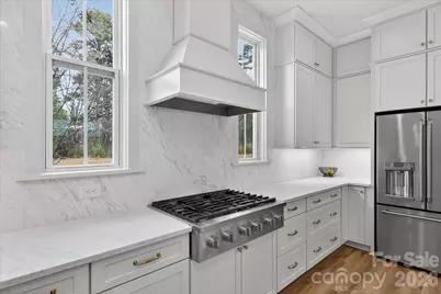 604 Hops Alley, Fort Mill, SC 29715 - Photo 14