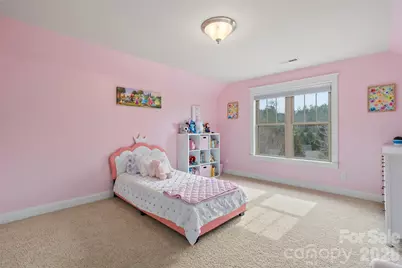 17 Moser Sedge Court, Biltmore Lake, NC 28715 - Photo 26