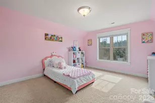 17 Moser Sedge Ct, Biltmore Lake, NC 28715 - Photo 26