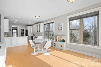 17 Moser Sedge Court, Biltmore Lake, NC 28715 - Photo 12