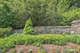 906 Woodvine Rd, Asheville, NC 28803 - Photo 48