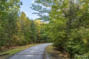 100 Pardo Rd, Landrum, SC 29356 - Photo 8