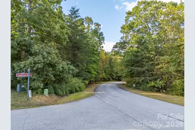 100 Pardo Road, Landrum, SC 29356 - Photo 2