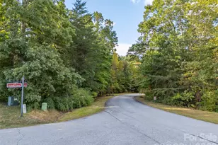 100 Pardo Rd, Landrum, SC 29356 - Photo 2