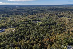 100 Pardo Rd, Landrum, SC 29356 - Photo 6