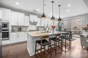 18229 Studman Branch Ave, Charlotte, NC 28278 - Photo 12