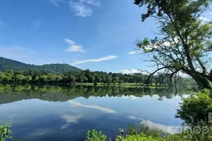 8 Midland Dr, Asheville, NC 28804 - Photo 42