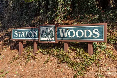 355 Mockingbird Drive, Hendersonville, NC 28792 - Photo 44