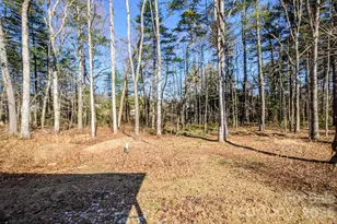 355 Mockingbird Dr, Hendersonville, NC 28792 - Photo 40