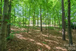 140 Bells Crossing Drive, Mooresville, NC 28117 - Photo 44
