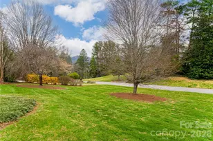 21 Pine Tree Cir, Asheville, NC 28804 - Photo 44