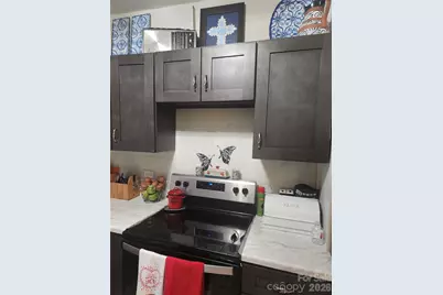 110 E Price Street, Hendersonville, NC 28739 - Photo 16