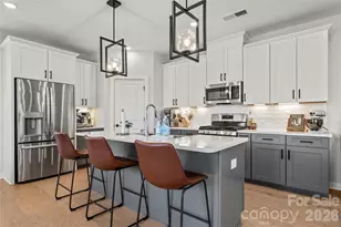 14028 Lake Home Ln, Charlotte, NC 28278 - Photo 6