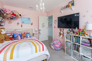 937 Canopy Fls Ln, York, SC 29745 - Photo 28