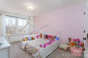 937 Canopy Fls Ln, York, SC 29745 - Photo 22