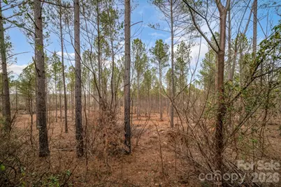 7812 Hwy 742 Highway, Marshville, NC 28103 - Photo 46