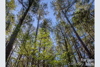 0 Catfish Road, New London, NC 28127 - Photo 4