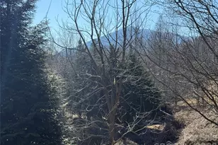 52 Supooh Ln, Sylva, NC 28779 - Photo 16