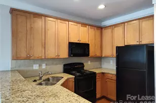 718 Cotton Gin Alley, Davidson, NC 28036 - Photo 4