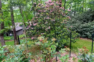 1600 Black Oak Dr, Sapphire, NC 28774 - Photo 32