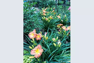 1600 Black Oak Drive, Sapphire, NC 28774 - Photo 34