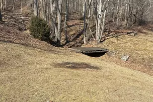 10 Carolina Ln, Burnsville, NC 28714 - Photo 4