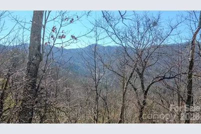 508 Griffin Mountain Road, Franklin, NC 28734 - Photo 42