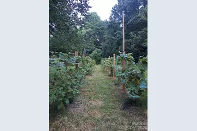 821 Bell Farm Road, Statesville, NC 28625 - Photo 36