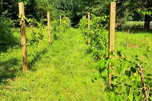 821 Bell Farm Rd, Statesville, NC 28625 - Photo 34