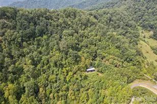 1225 Clark Rd, Clyde, NC 28721 - Photo 10