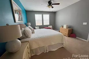 9116 Gray Willow Rd, Charlotte, NC 28227 - Photo 16