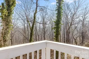 64 Pleasant Ridge Dr, Asheville, NC 28805 - Photo 32