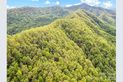 00 Locust Trail, Waynesville, NC 28785 - Photo 10