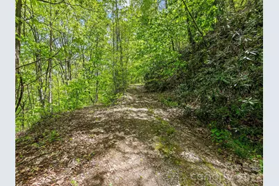 00 Locust Trail, Waynesville, NC 28785 - Photo 22