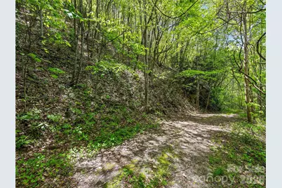 00 Locust Trail, Waynesville, NC 28785 - Photo 24
